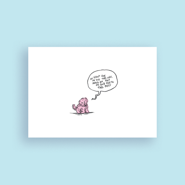 Mini chien, carte postale