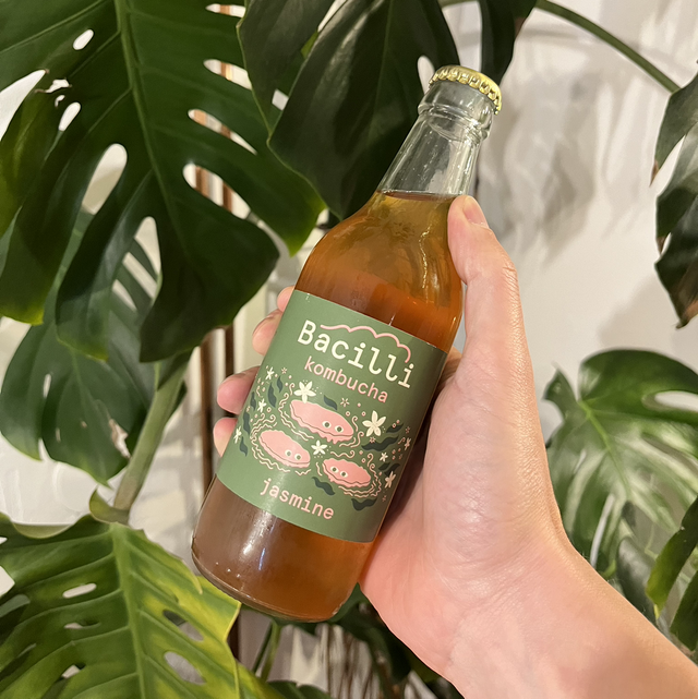 Jasmín kombucha Bacilli 0,33l