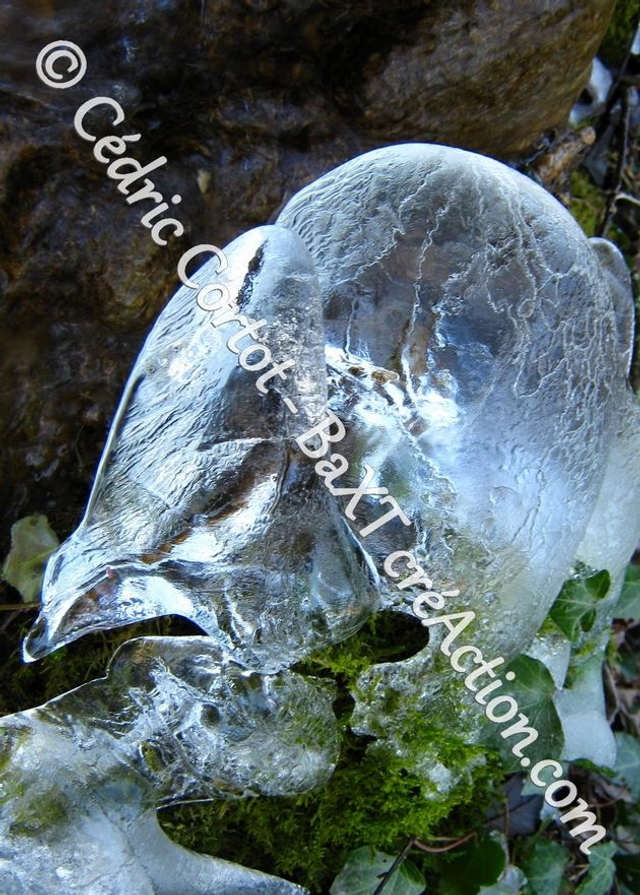 Carte postale - Paysages et divers (Ref IMG_9419)