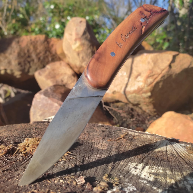 #3: lignum héritage