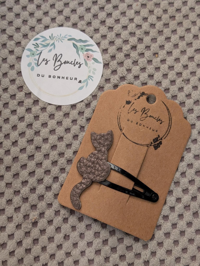 Barrette b049