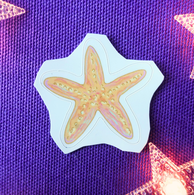 Etoile de mer