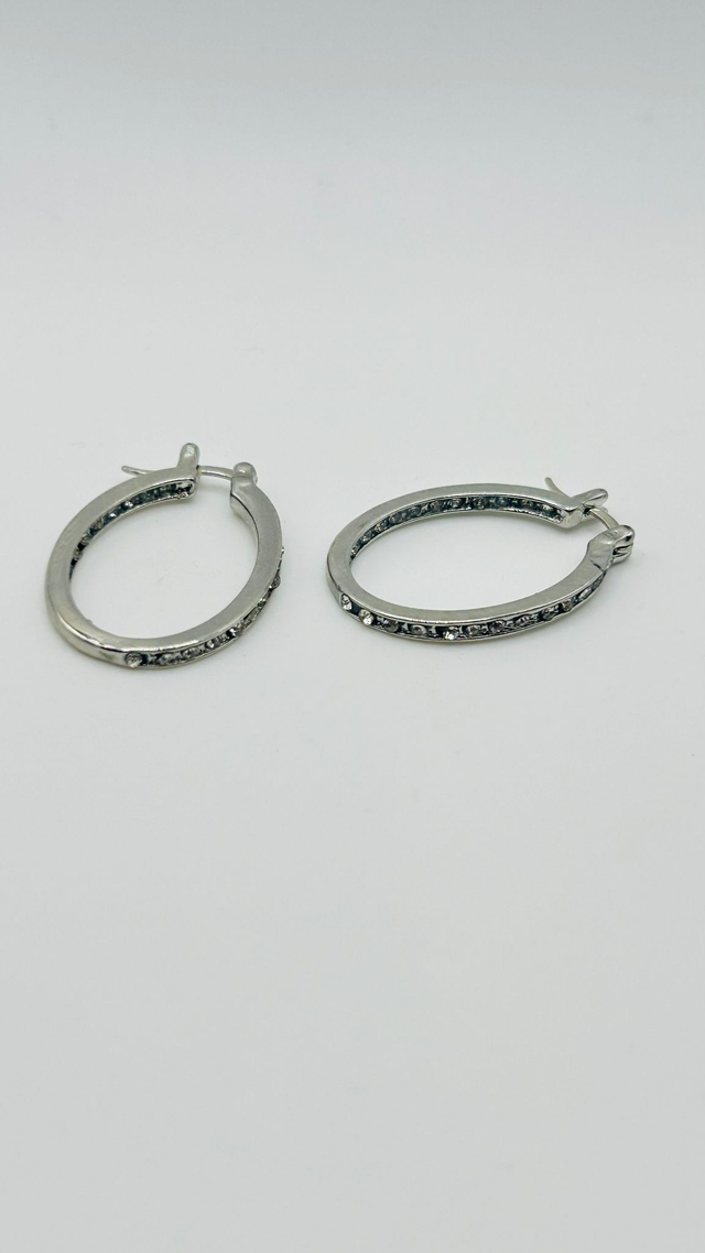 Stainless Steel Earrings (SSE54J)