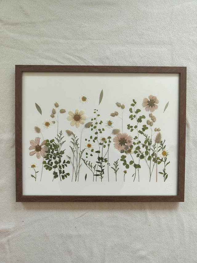 Herbier de fleurs pressées 