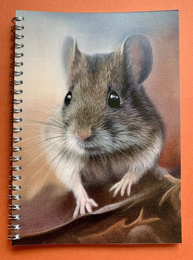 Notebook - Mouse