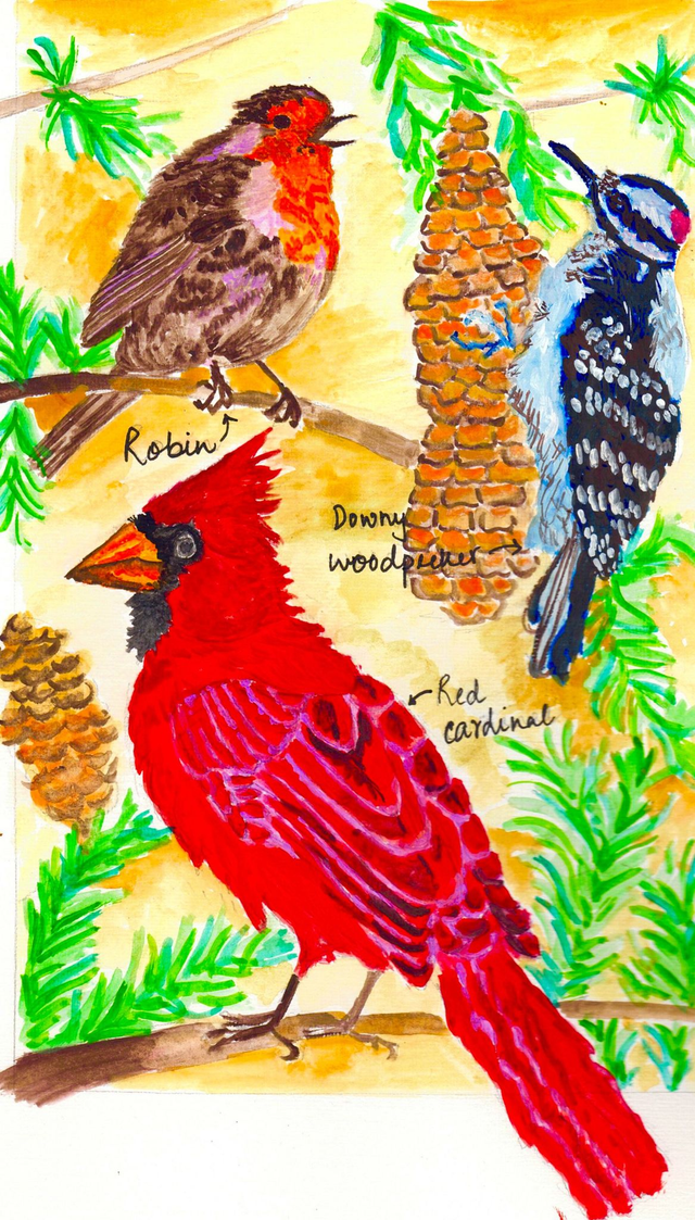 Winter birds - A4 print