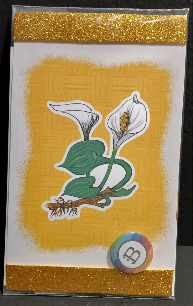 Leggi &amp; Decora - Kit Decorazione - I Fiori di Catia n. 1 - Calla