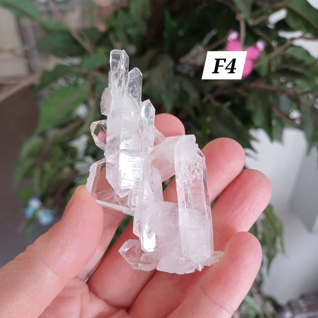 Lemurian Faden Quartz