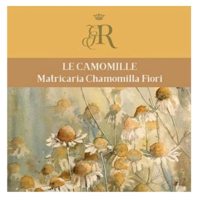 7_Fiori di Camomilla