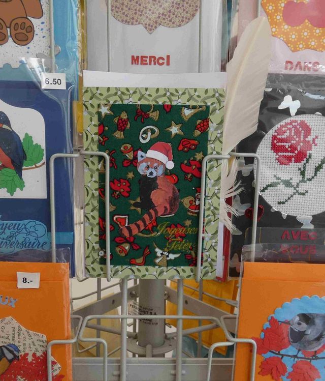 Le panda roux de Noël