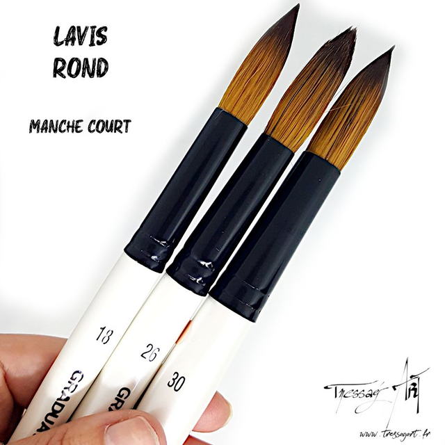 DALER ROWNEY - PINCEAU COURT UNITE - LAVIS ROND - CA091