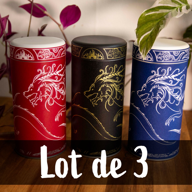 Lot de 3 boîtes dragons