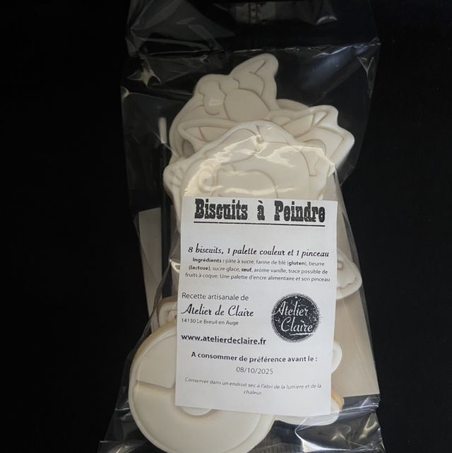 kit biscuits à peindre - thème Pokemon