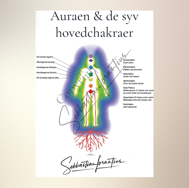 Auraen og de syv hovedchakraer