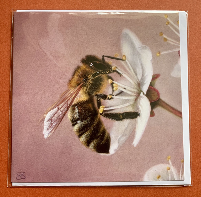 Greetings Card - Bee on Blossom - Blank Inside