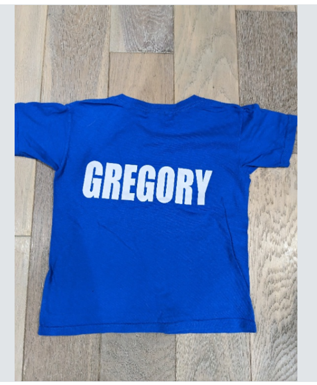 Preloved Stivichall Primary School House PE T-shirt Blue Gregory