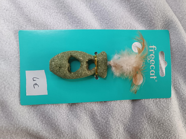 Poisson cataire et plume 