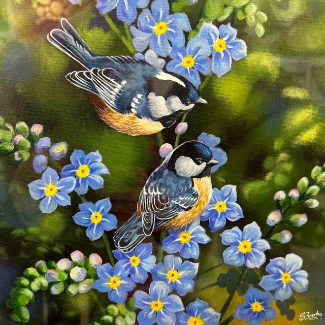 Forget Me Not - Suzanne Brooks