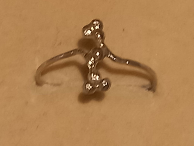 Silber Ring Nr. 44
