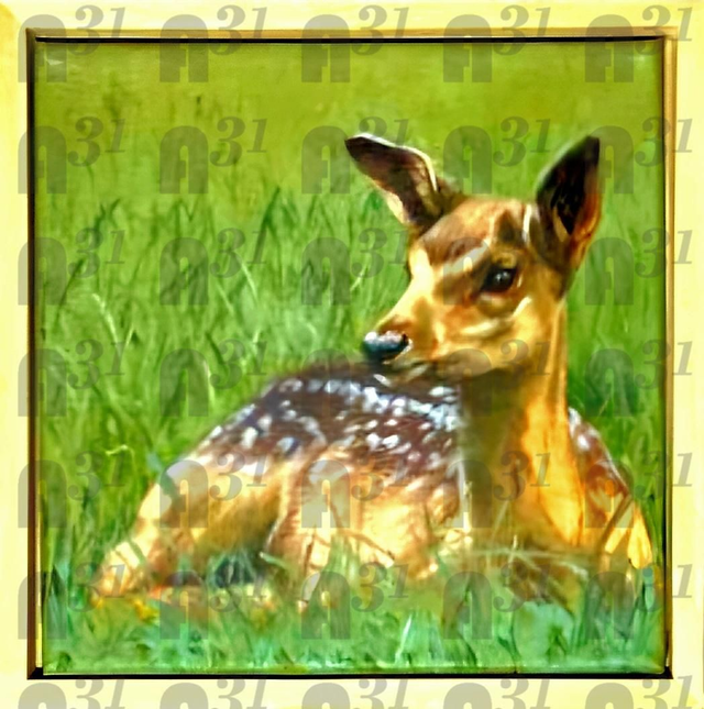 566. Fallow Deer Fawn. Oil on Canvas Original 