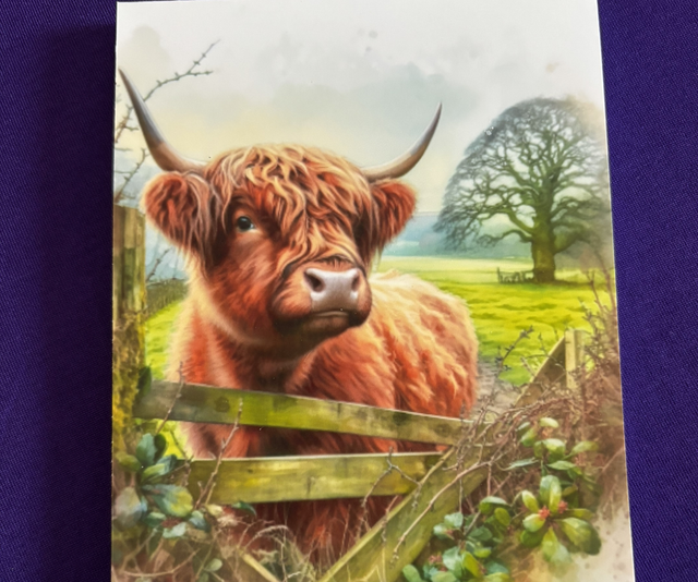 Plain Note Pad  Cow Highland at Wooden Gate