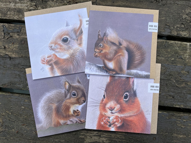 Animal Art Greetings Card Sets- Square