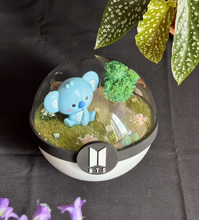 🌼 Terrarium BTS - Édition printemps - Koya (RM)