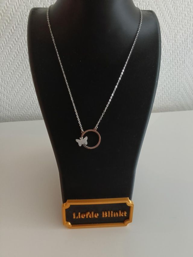 Vlinder met ring zilver kleurig