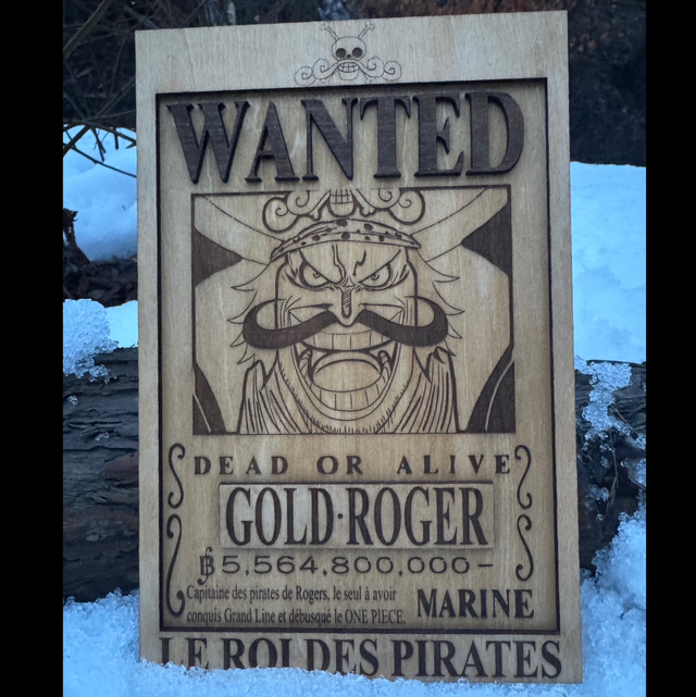 One Piece - Gold Roger Wanted 