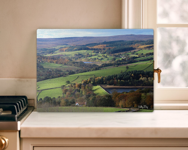 "Bradfield" Glass Worktop Saver  