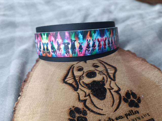 Duo biothane 39mm et biothane uv