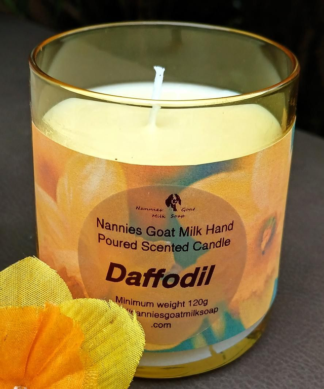 Daffodil Candle 