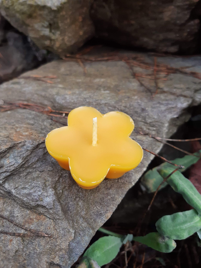 Plovoucí svíčka ze včelího vosku - kytka