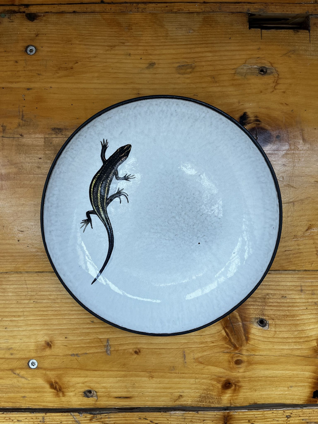Teller 23cm tief Salamander (MSM)