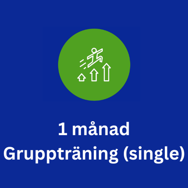 1 månad Gruppträning (single)