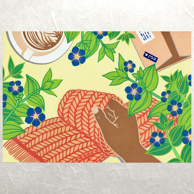 Letter writers - Change of the Weather - Anagallis arvensis