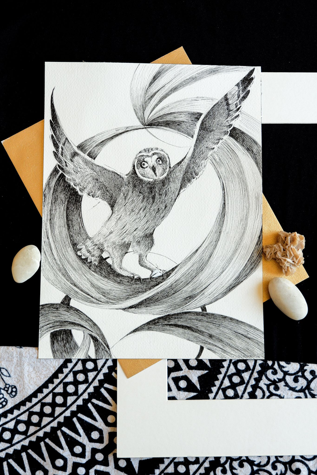 Illustration originale noir et blanc "Hibou des Marais"