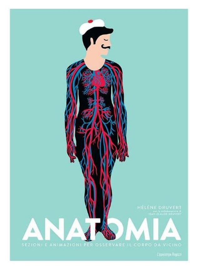 Anatomia. Sezioni e animazioni per osservare il corpo da vicino - di di Hélène Druvert &amp; Jean-Claude Druvert 
