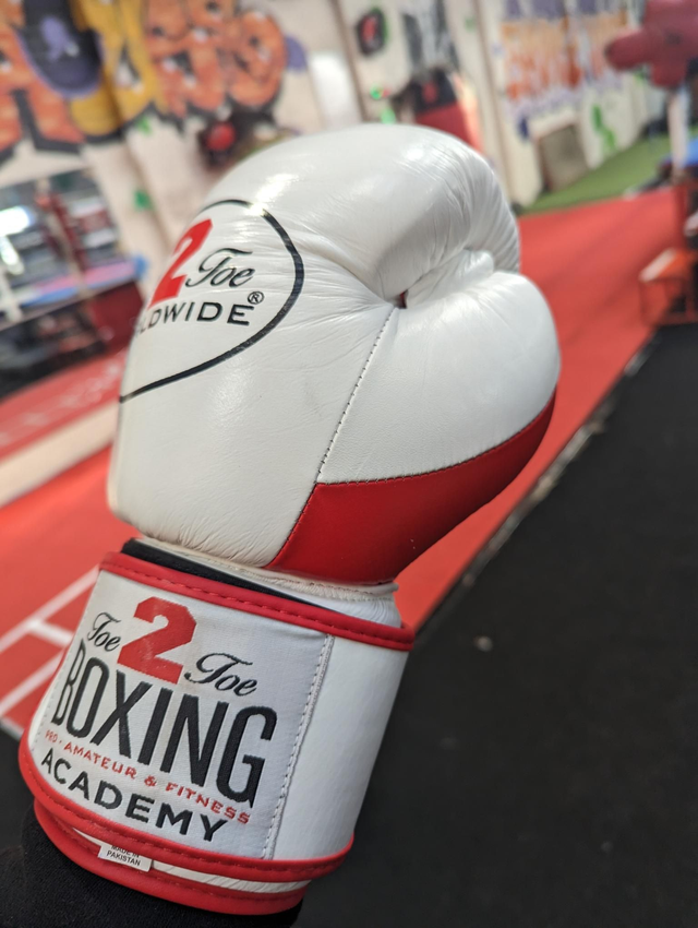 T2T BOXING GLOVES COWHIDE LEATHER 