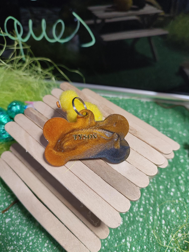 Médaille pour Animaux de compagnie