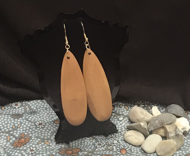 Brown Non Dangling Earrings-BRDE25