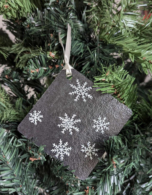 Flocons de neige 2024