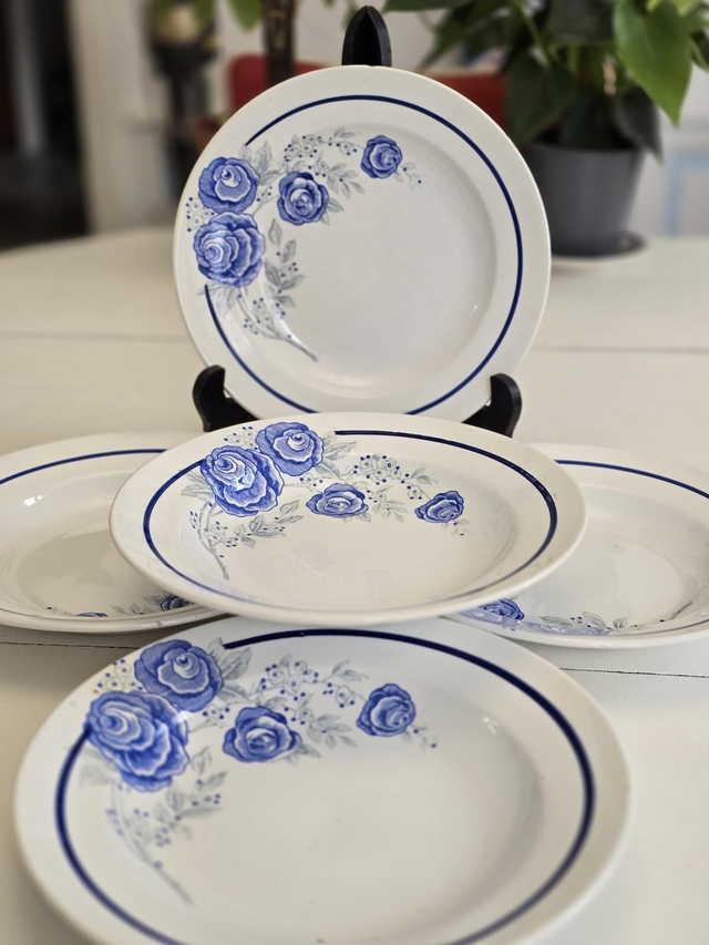 Assiettes creuses St Amand 