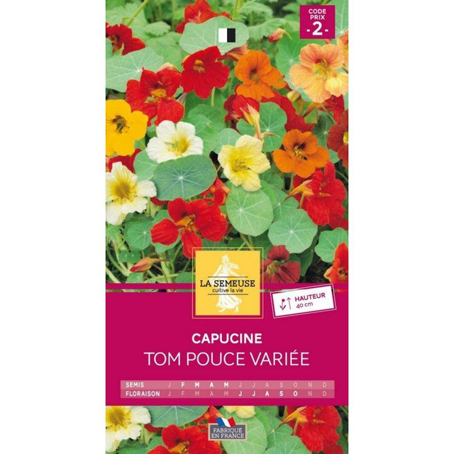 Capucine Tom Pouce Variée