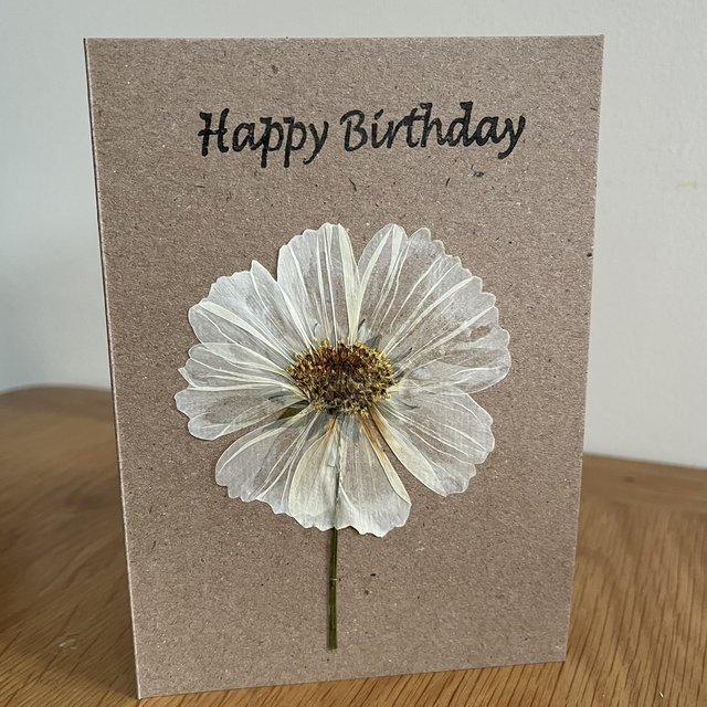 Happy Birthday - Cosmos card