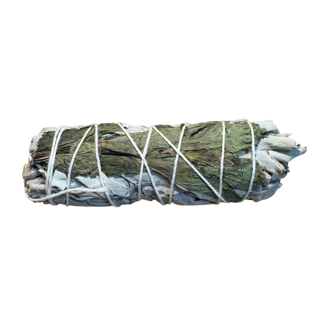 Bâton de Sauge ~ Menthe