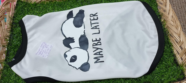 Maybe later white lightweight vest