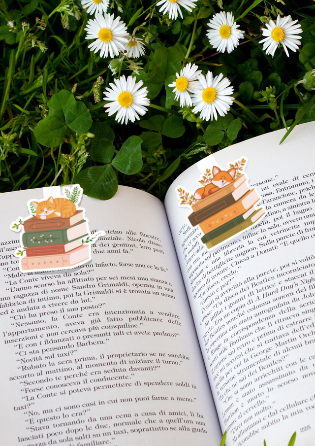 Marques pages magnétiques