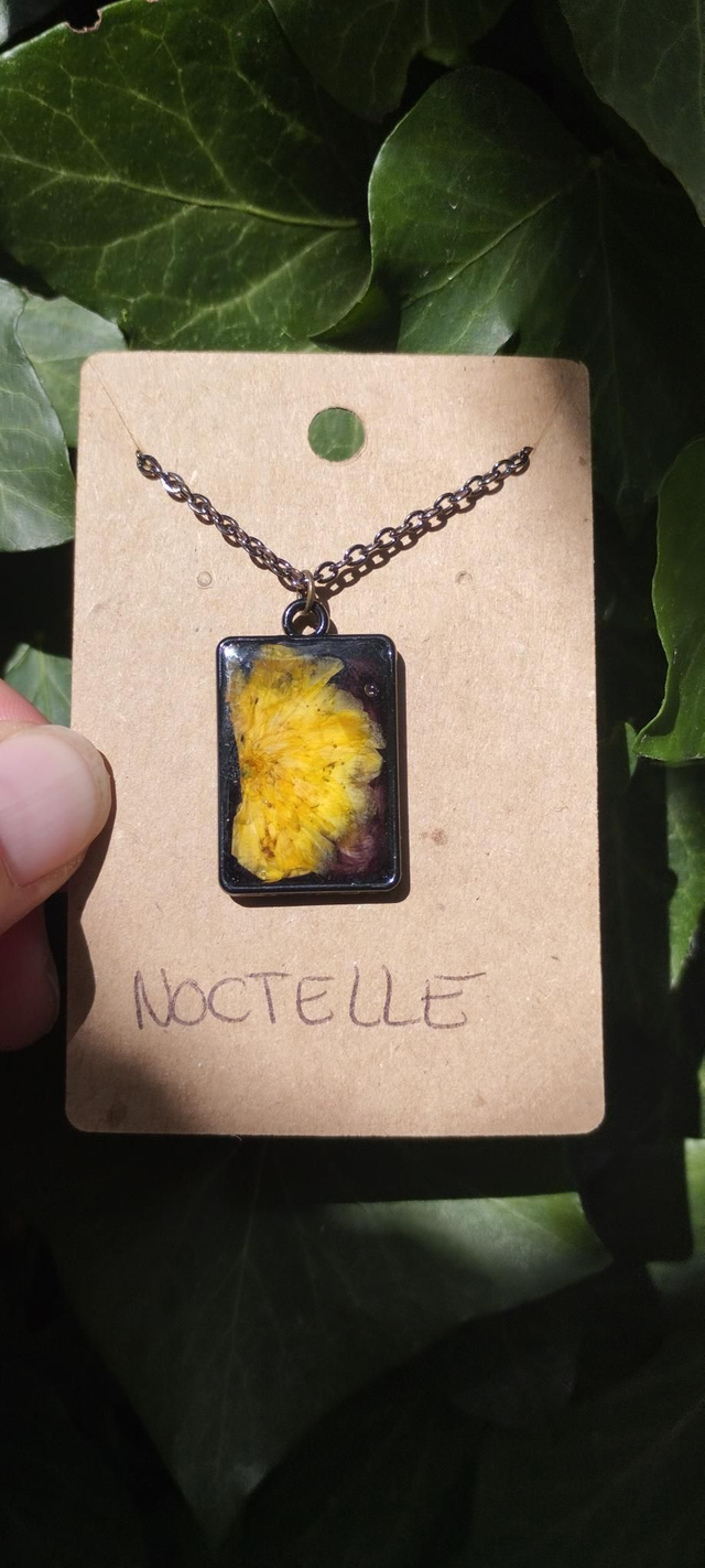 Végétalisman - NOCTELLE