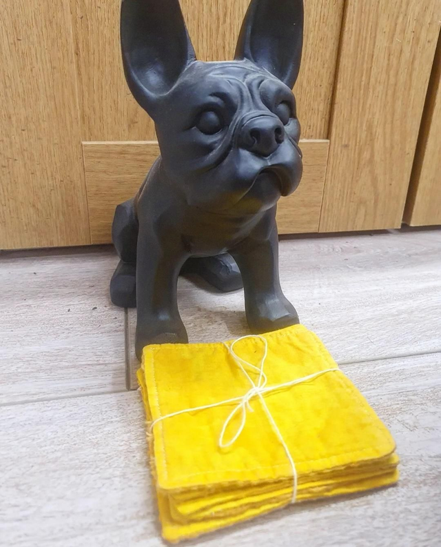 Lot de 5 Lingettes Lavables 